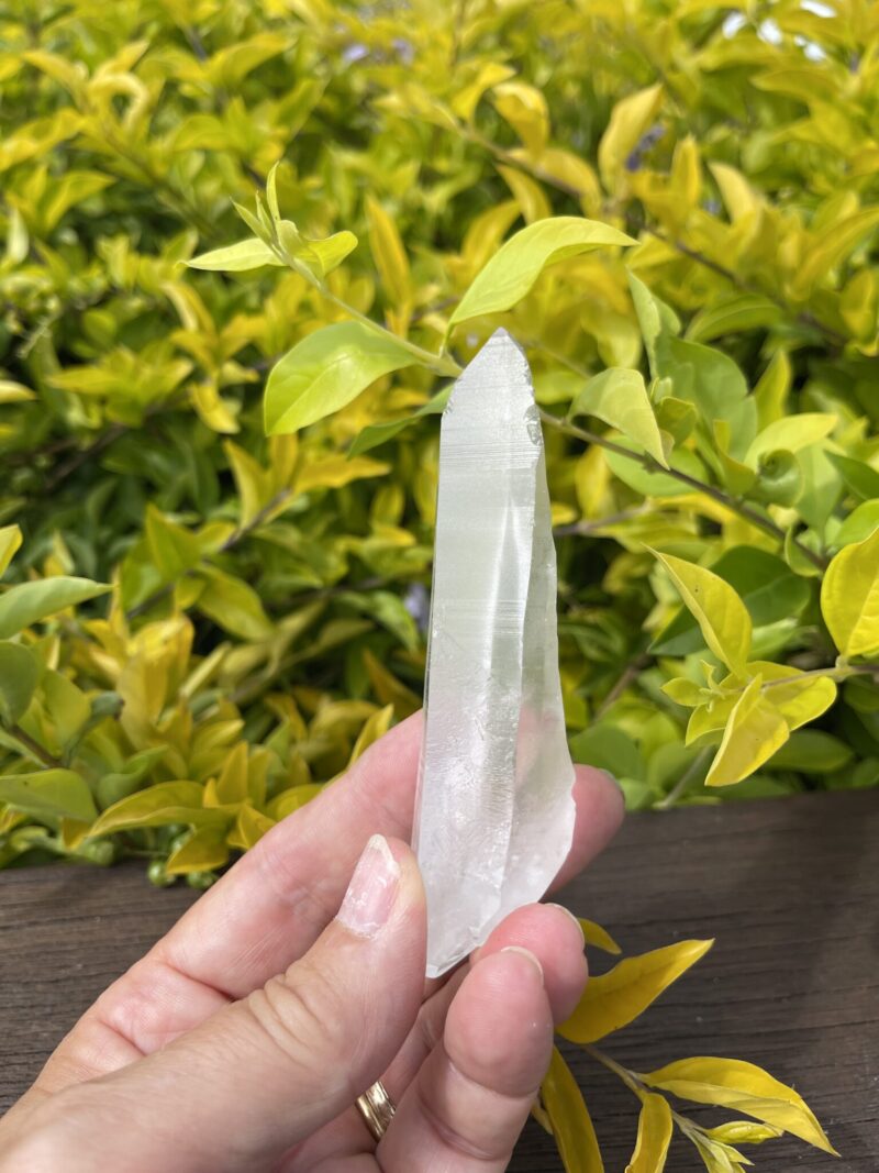 Lemurian Self-Healing Double-Terminated Master