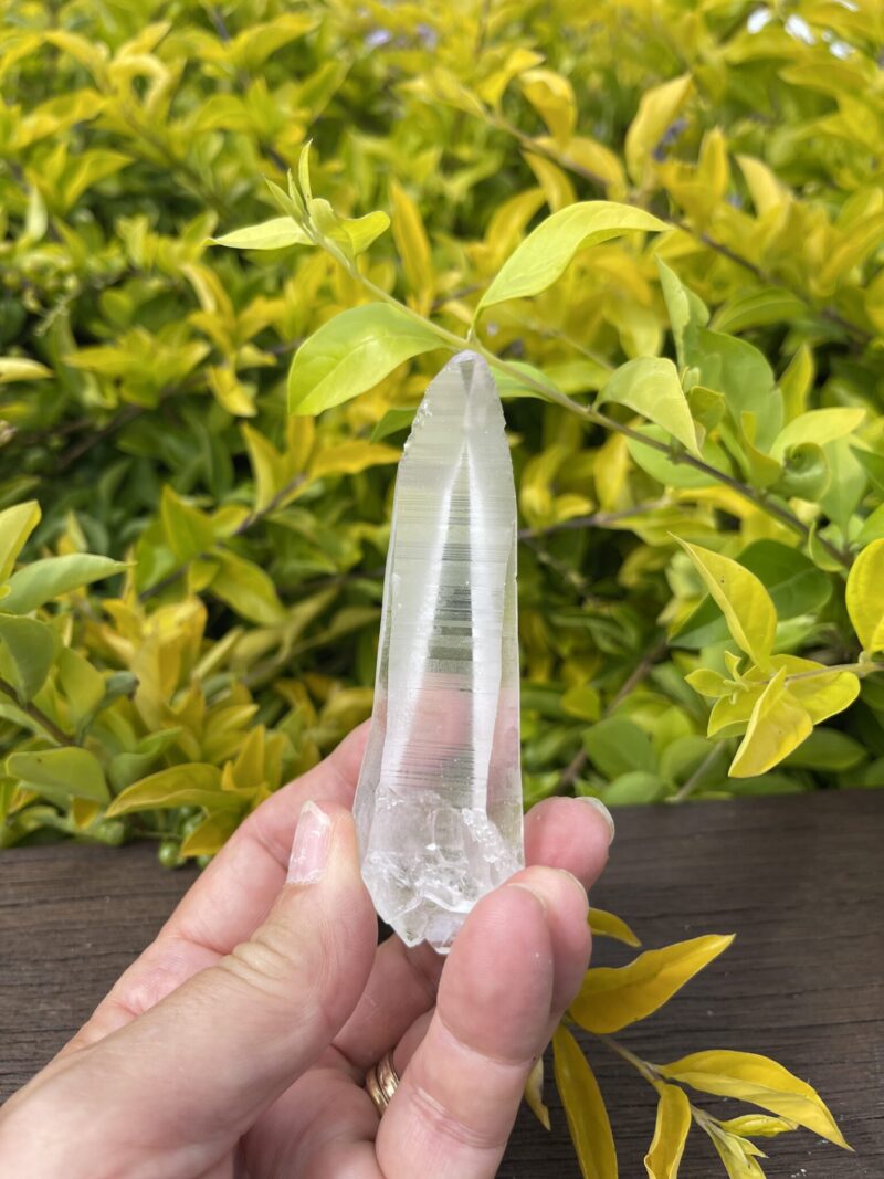 Lemurian Self-Healing Double-Terminated Master