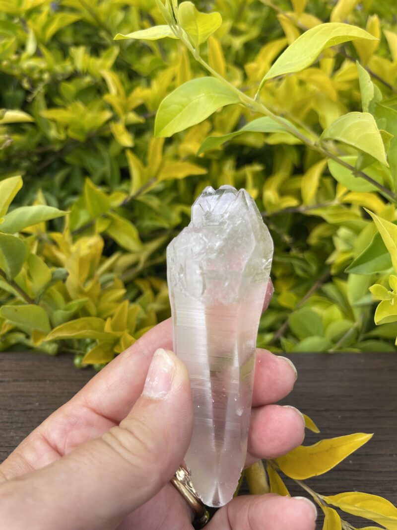 Lemurian Self-Healing Double-Terminated Master