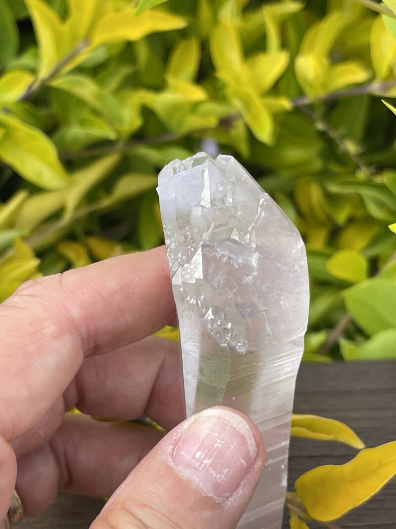 Lemurian Self-Healing Double-Terminated Master