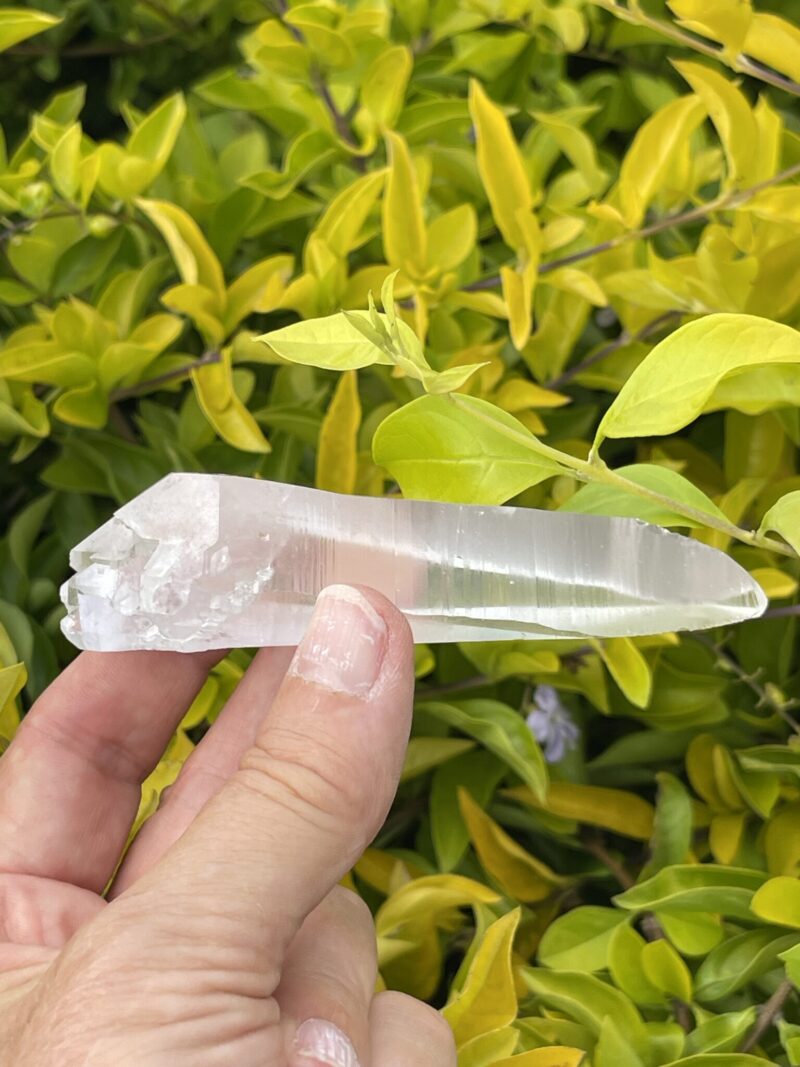 Lemurian Self-Healing Double-Terminated Master