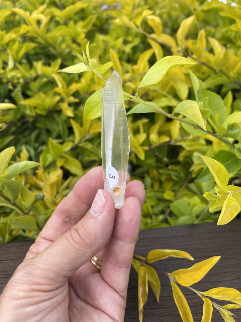 Gorgeous Lemurian Clear Laser Quartz – 29g