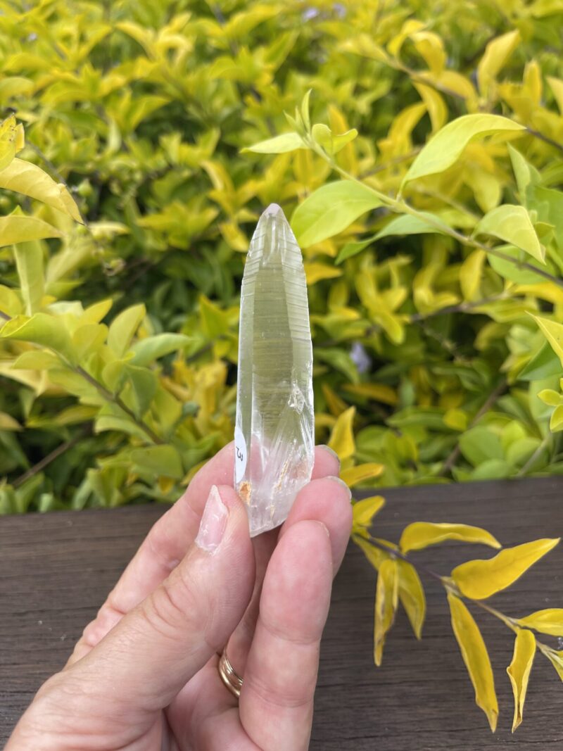 Gorgeous Lemurian Clear Laser Quartz – 29g