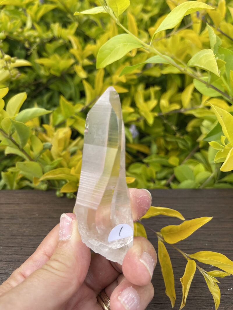 Clear Lemurian Seed Quartz Master Selection