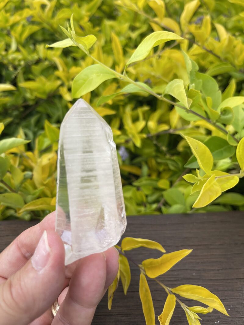 Clear Lemurian Seed Quartz Master Selection