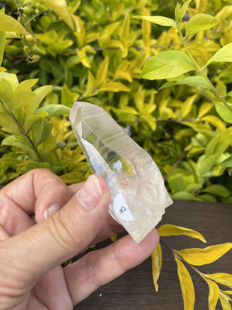 Clear Rainbow Lemurian Seed Quartz Master Selection