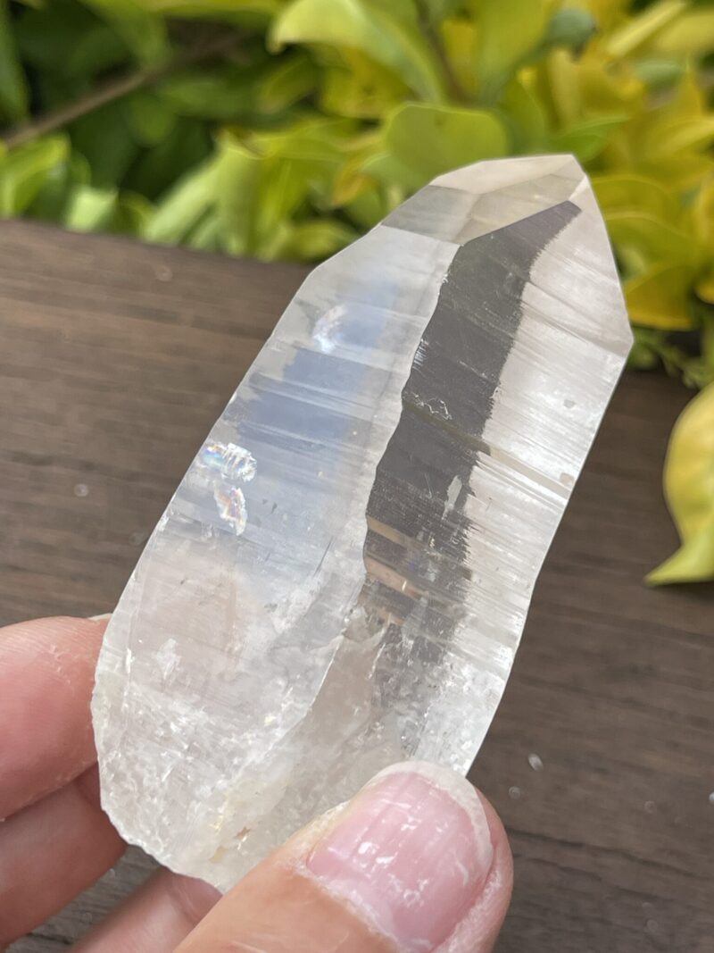 Clear Rainbow Lemurian Seed Quartz Master Selection