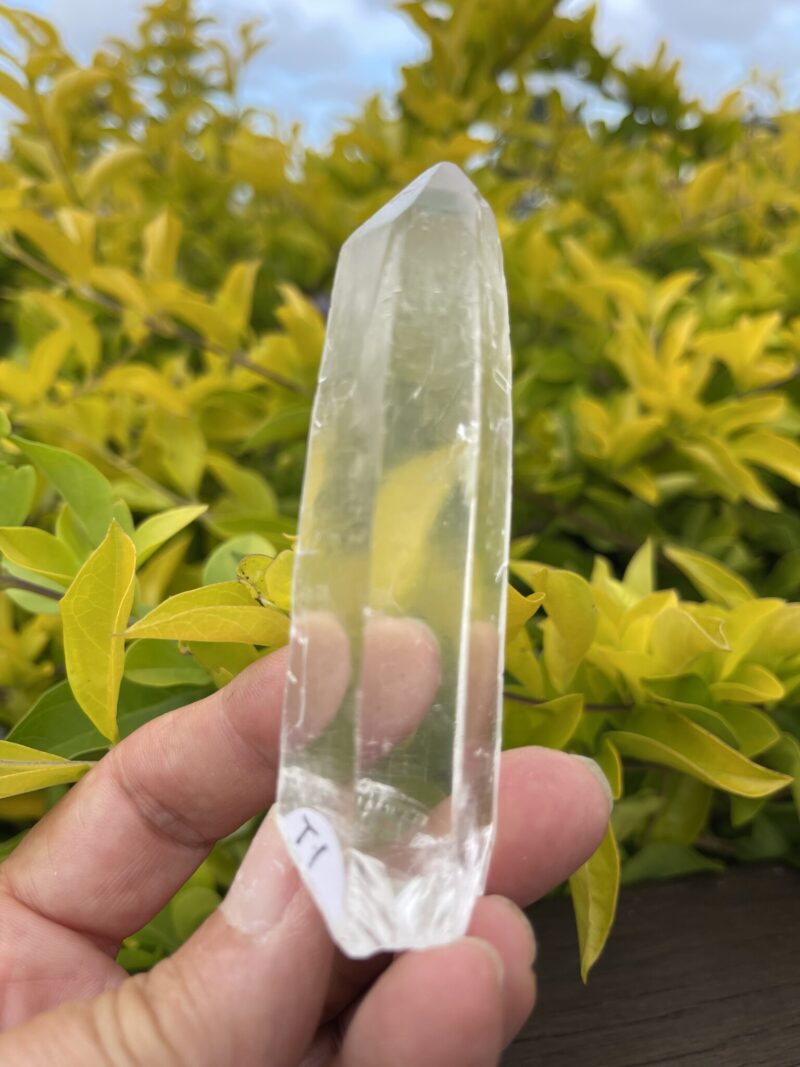 Tabby Cathedral Clear Quartz Points – Energy Bridge