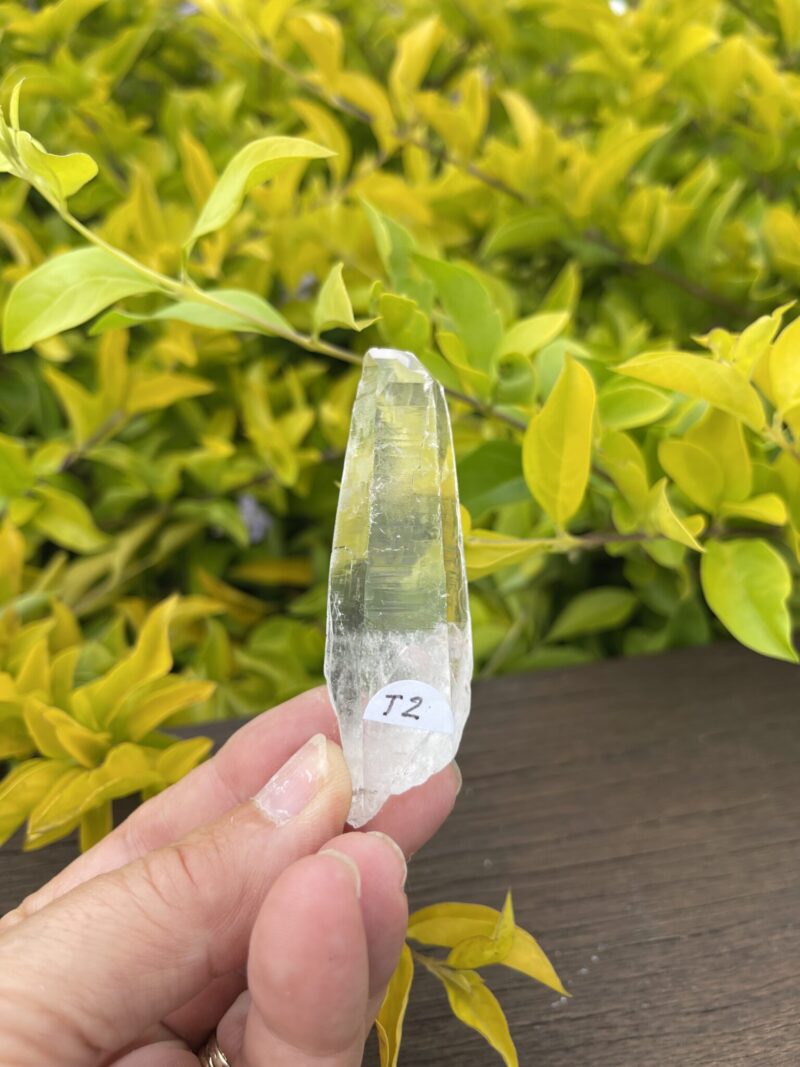 Tabby clear etching Clear Quartz Points – Energy Bridge