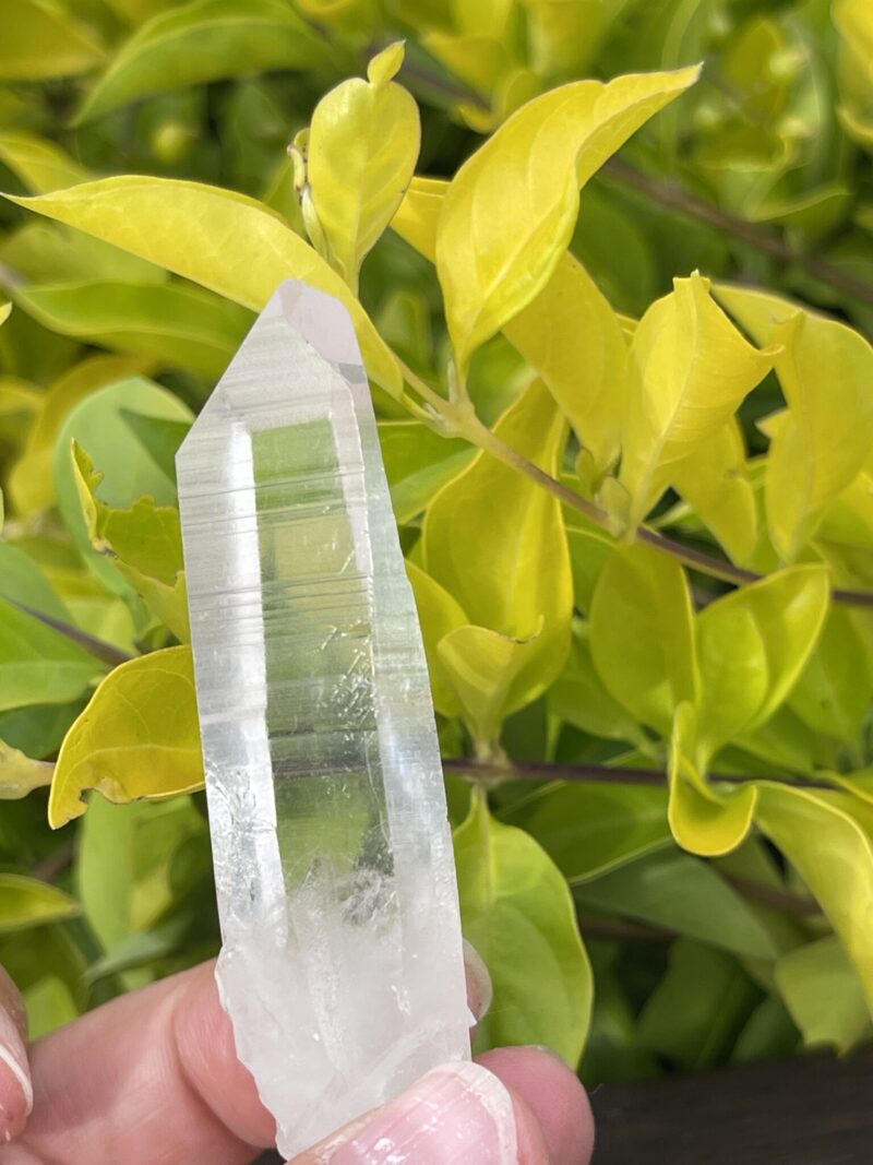 Set of 2 Clear Lemurian Seed Crystals