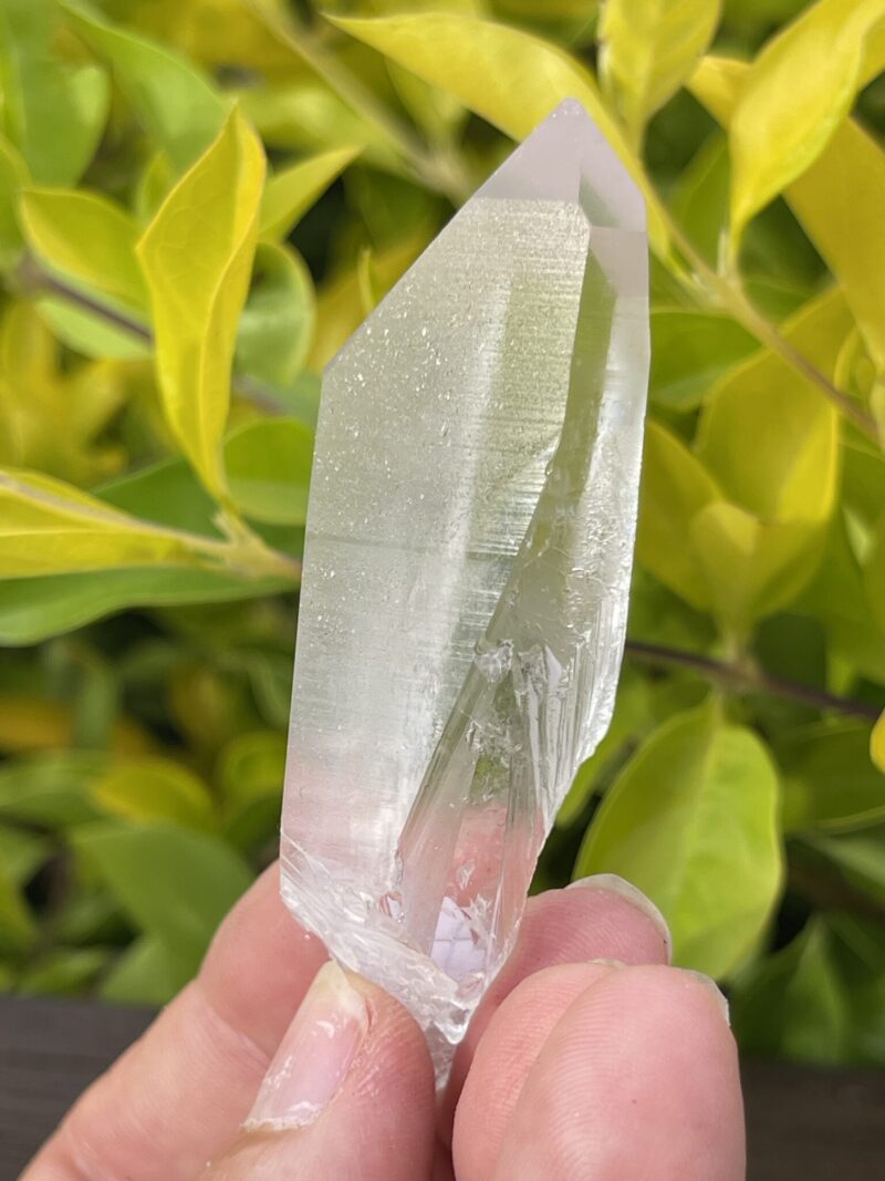 Set of 2 Clear Lemurian Seed Crystals